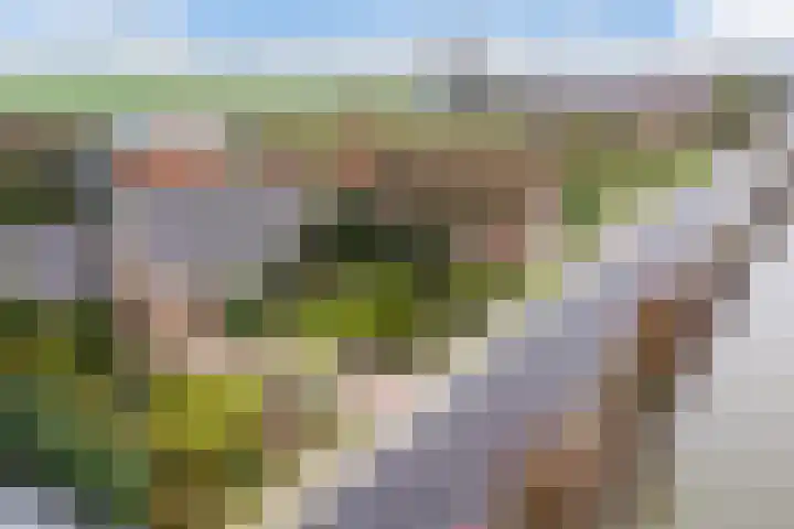 Dorp 223 Benschop thumbnail 51