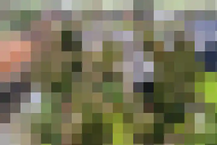 Dorp 223 Benschop thumbnail 52