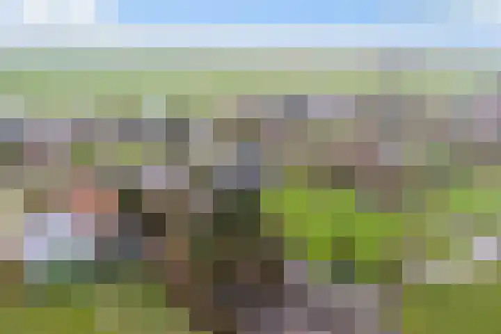 Dorp 223 Benschop thumbnail 54