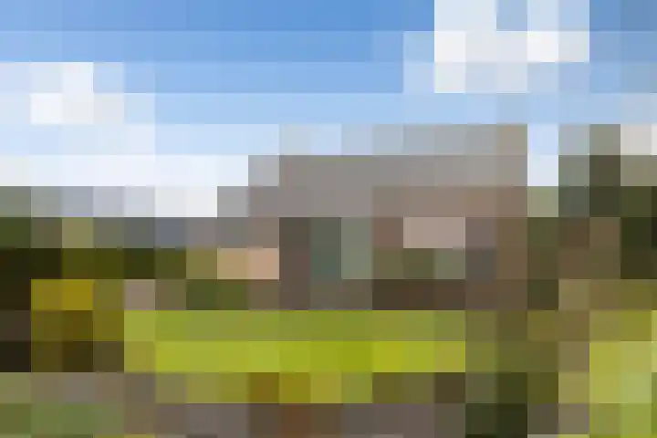 Dorp 223 Benschop thumbnail 6