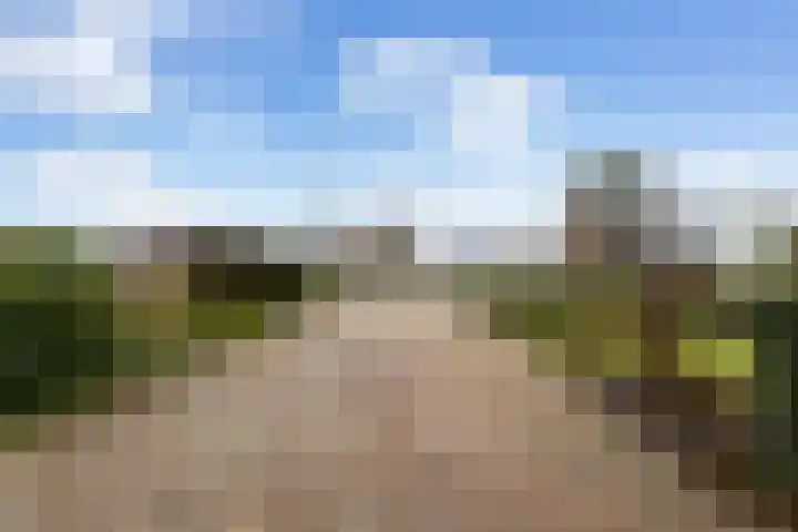 Dorp 223 Benschop thumbnail 7