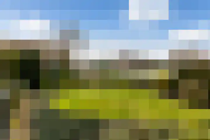 Dorp 223 Benschop thumbnail 8