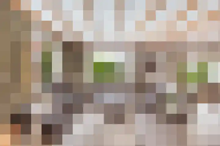 Dorp 225 Benschop thumbnail 11