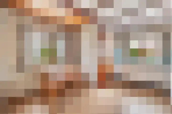 Dorp 225 Benschop thumbnail 13