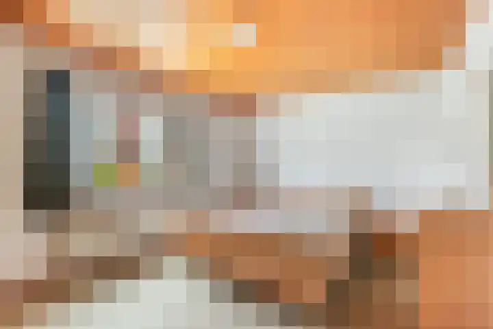 Dorp 225 Benschop thumbnail 15