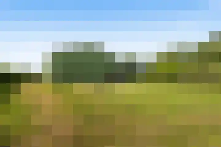 Dorp 225 Benschop thumbnail 25