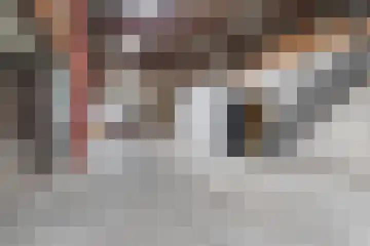 Dorp 225 Benschop thumbnail 26