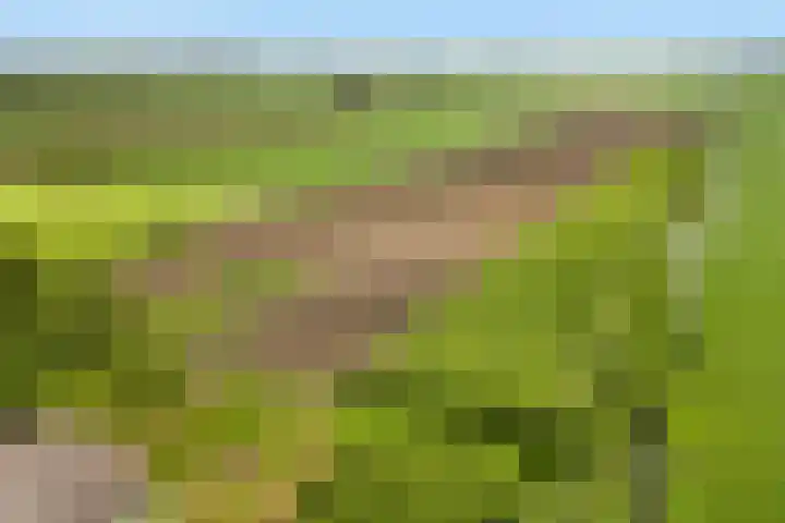 Dorp 225 Benschop thumbnail 34