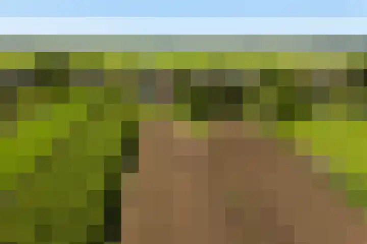 Dorp 225 Benschop thumbnail 35