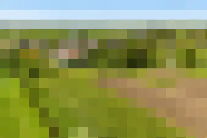 Dorp 225 Benschop thumbnail 36