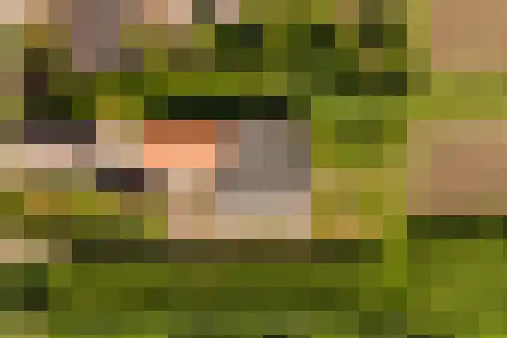 Dorp 225 Benschop thumbnail 37