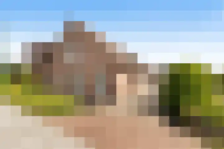Dorp 225 Benschop thumbnail 4