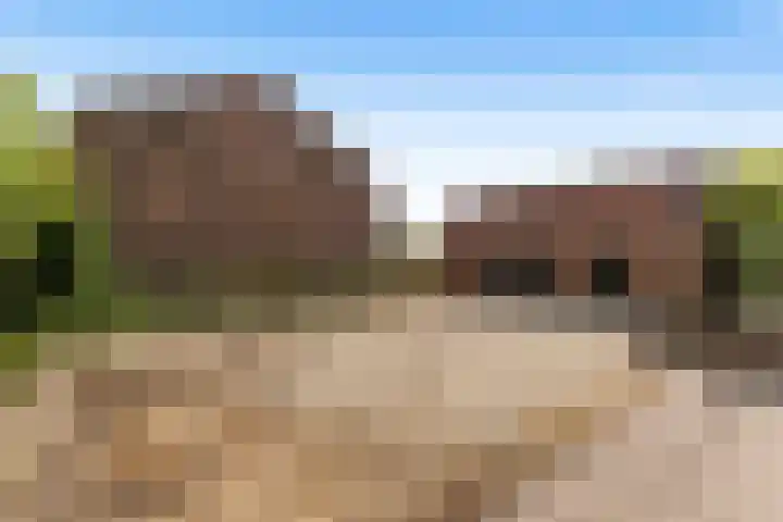 Dorp 225 Benschop thumbnail 6