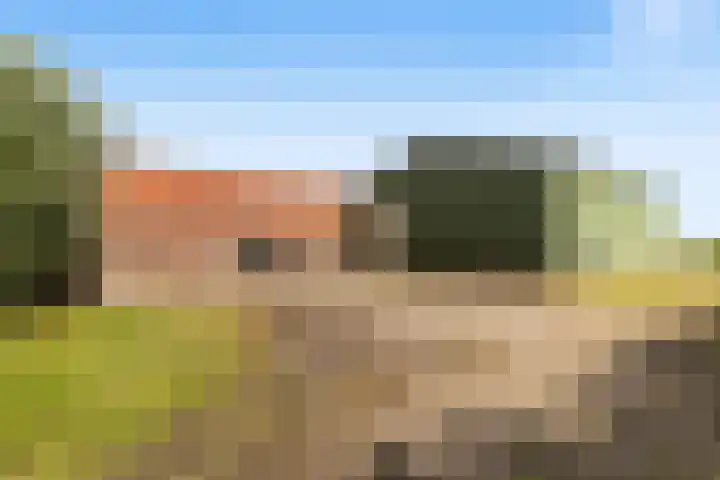 Dorp 225 Benschop thumbnail 7