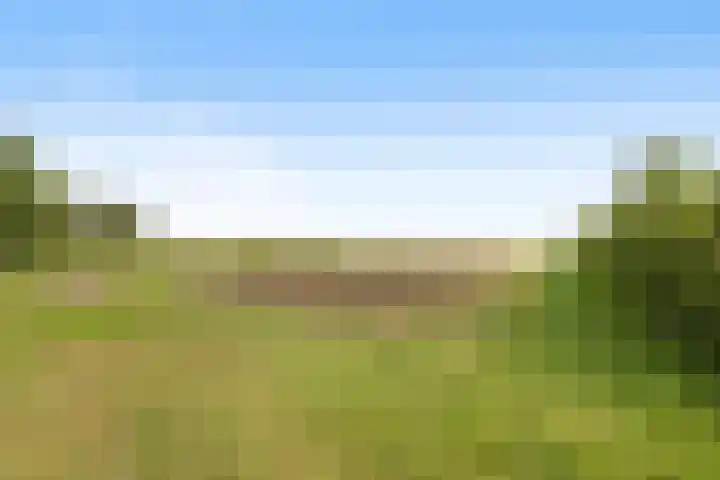 Dorp 225 Benschop thumbnail 8