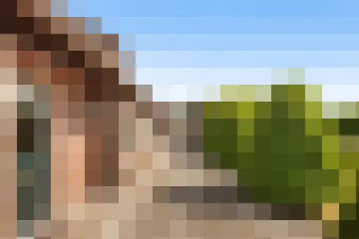 Dorp 225 Benschop thumbnail 9
