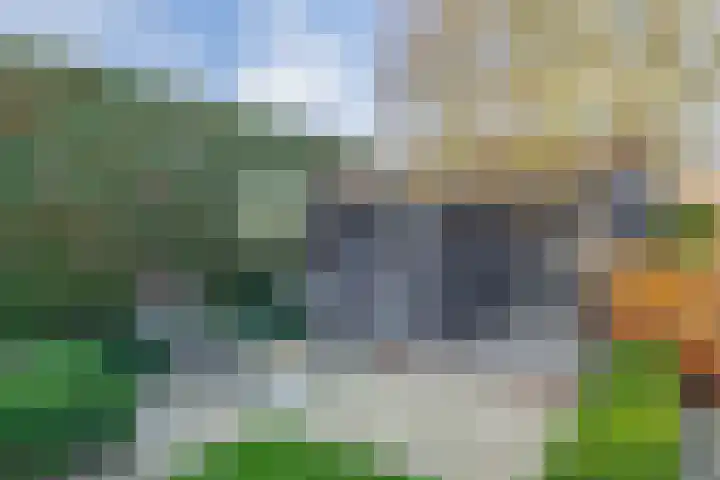 Dorp 69 Polsbroek thumbnail 47