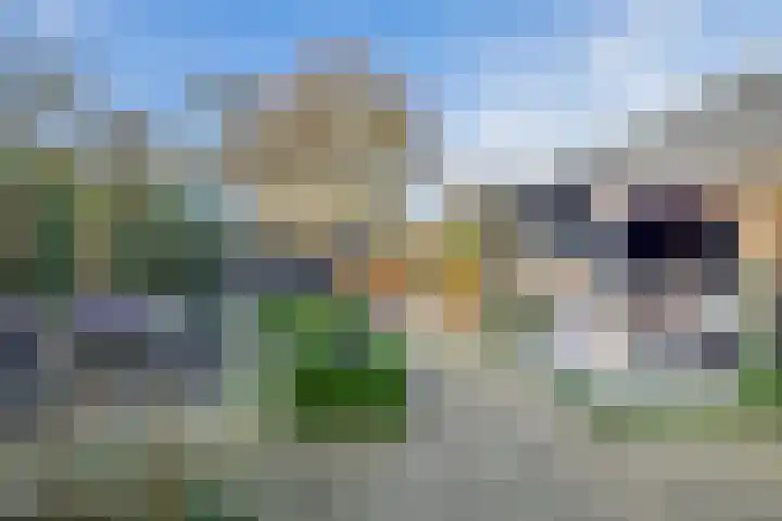 Dorp 69 Polsbroek thumbnail 48