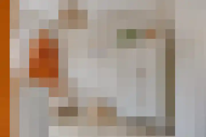 Dörper Tore 24 Helden thumbnail 22