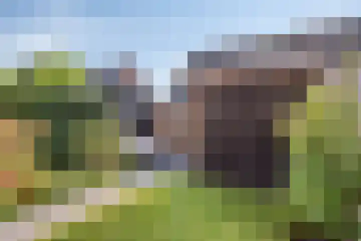 Dörper Tore 24 Helden thumbnail 28