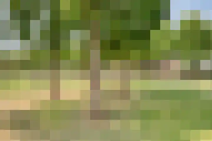 Dörper Tore 24 Helden thumbnail 33