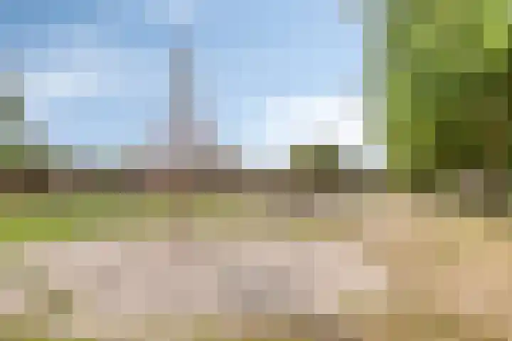 Dörper Tore 24 Helden thumbnail 34
