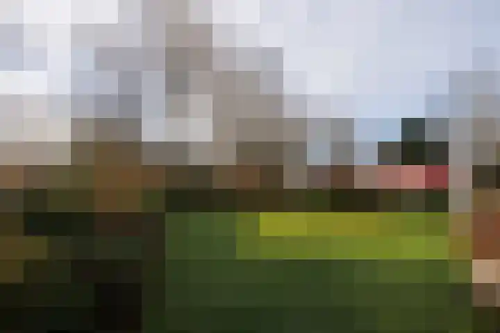 Dorperesch 2 Wierden thumbnail 26