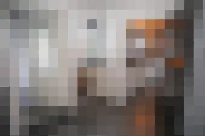 Dorperesch 2 Wierden thumbnail 27