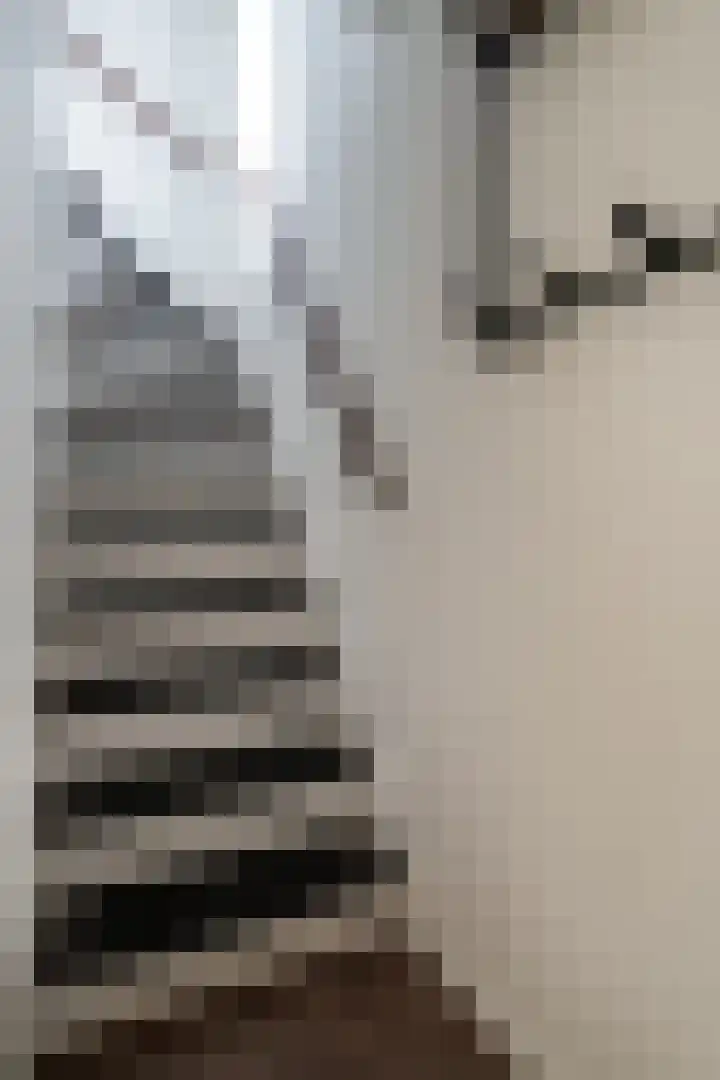 Dorperesch 2 Wierden thumbnail 42