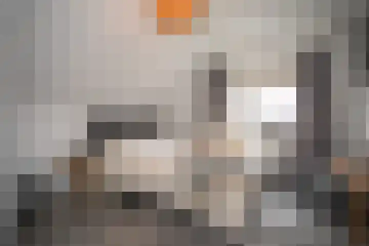 Dorperesch 2 Wierden thumbnail 45