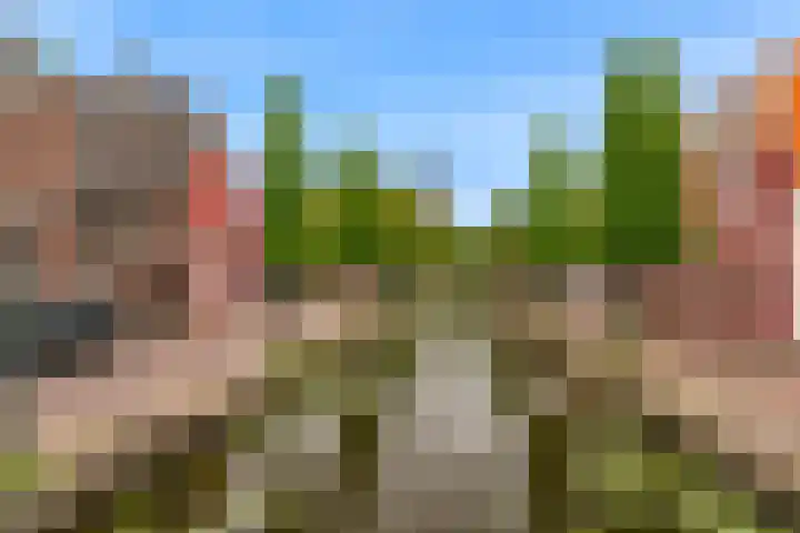 Dorperesch 2 Wierden thumbnail 47