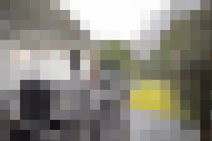 Dorperesch 2 Wierden thumbnail 54