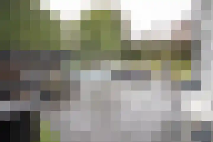 Dorperesch 2 Wierden thumbnail 60