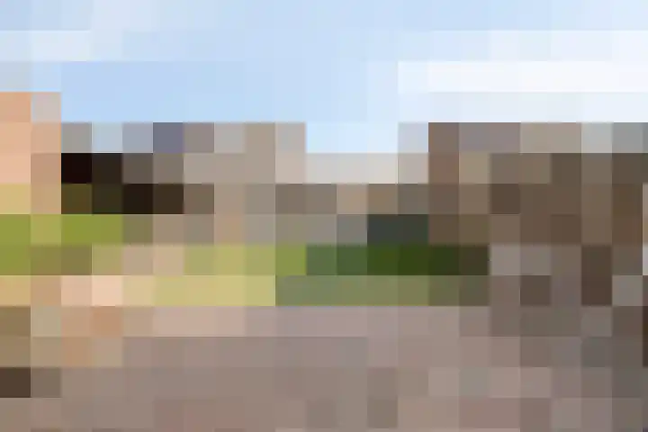 Dorperveld 21 Merselo thumbnail 30