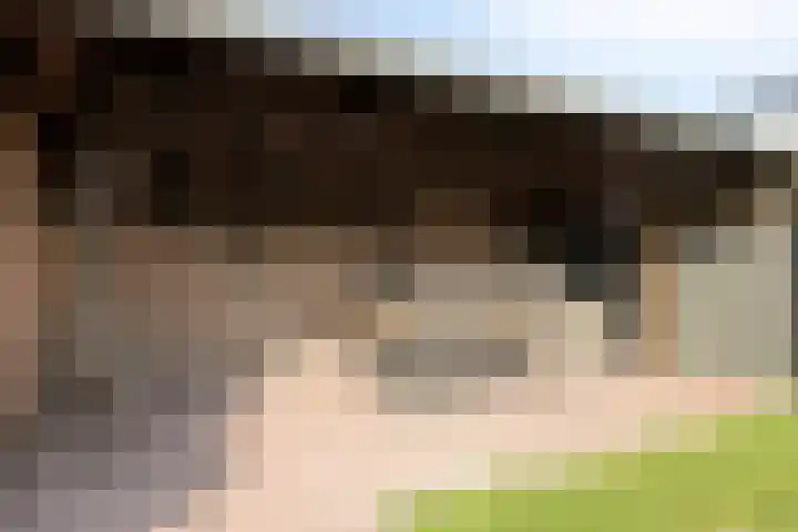 Dorperveld 21 Merselo thumbnail 32