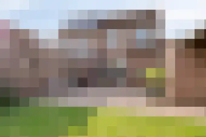 Dorperveld 21 Merselo thumbnail 35