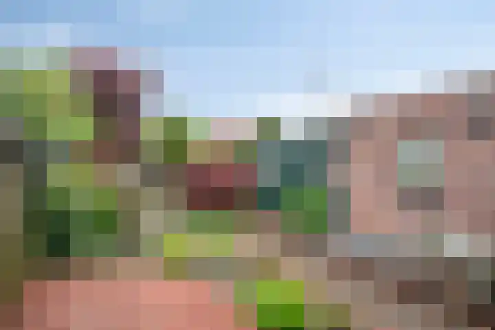 Dorperweiden 74 Sevenum thumbnail 4