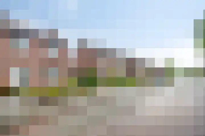 Dorperweiden 74 Sevenum thumbnail 7