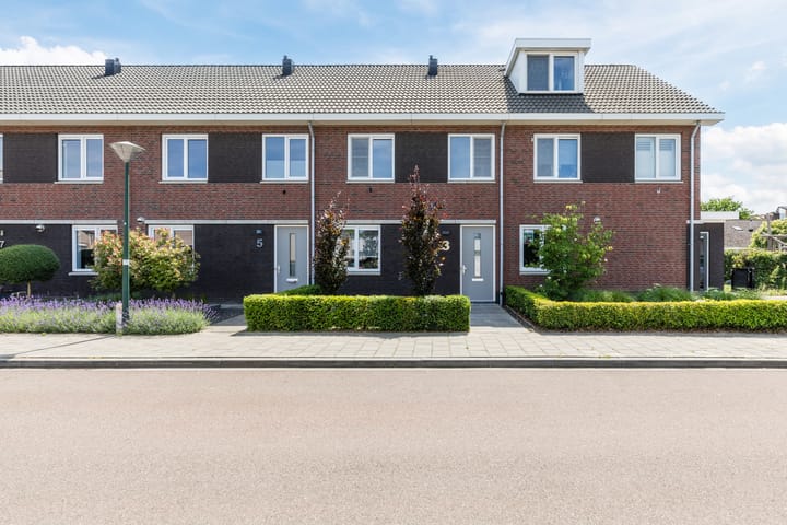 Dorpsakkers 3 in Soerendonk foto