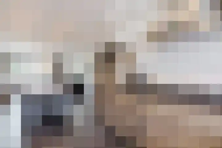 Dorpsakkers 3 Soerendonk thumbnail 11