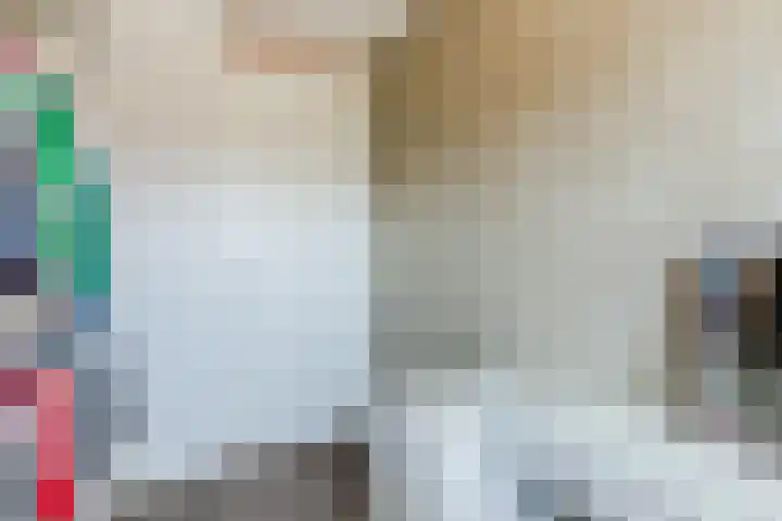Dorpsakkers 3 Soerendonk thumbnail 22