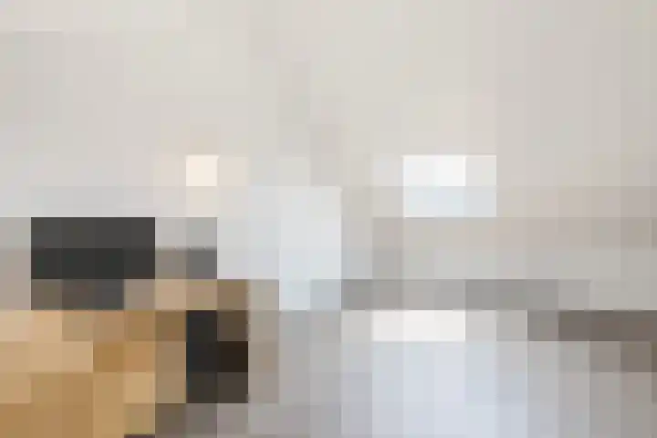 Dorpsakkers 3 Soerendonk thumbnail 26