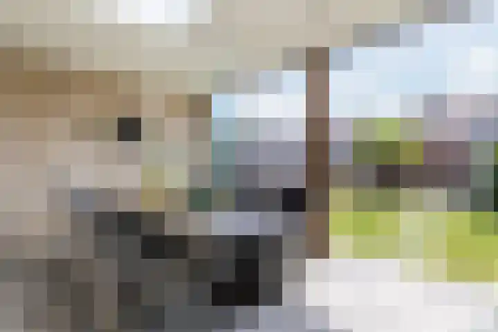 Dorpsakkers 3 Soerendonk thumbnail 31