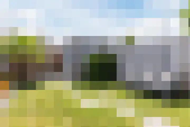Dorpsakkers 3 Soerendonk thumbnail 32
