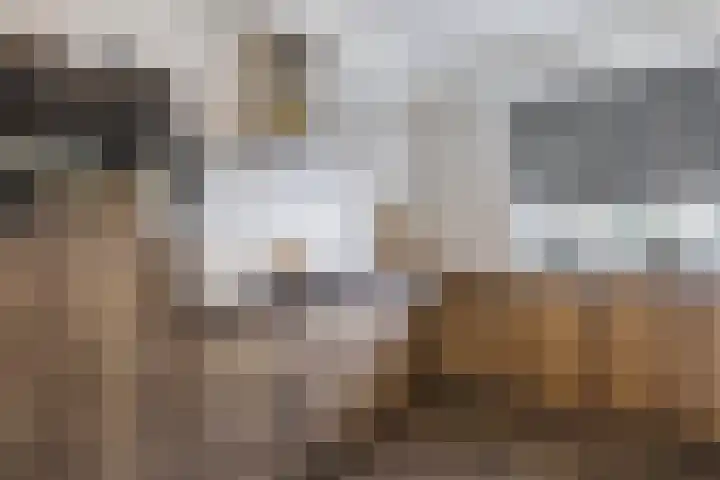 Dorpsakkers 3 Soerendonk thumbnail 9