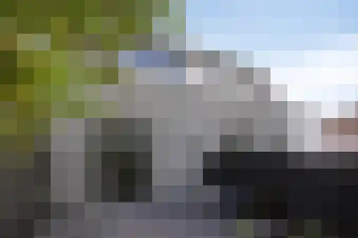 Dorpsdijk 94 a Rhoon thumbnail 10