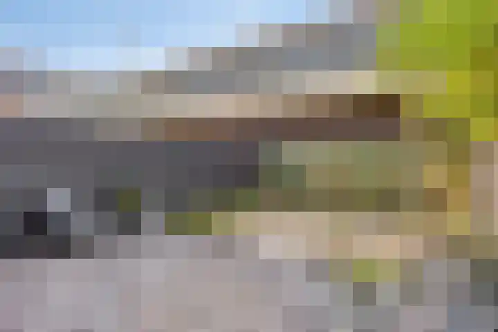 Dorpsdijk 94 a Rhoon thumbnail 13