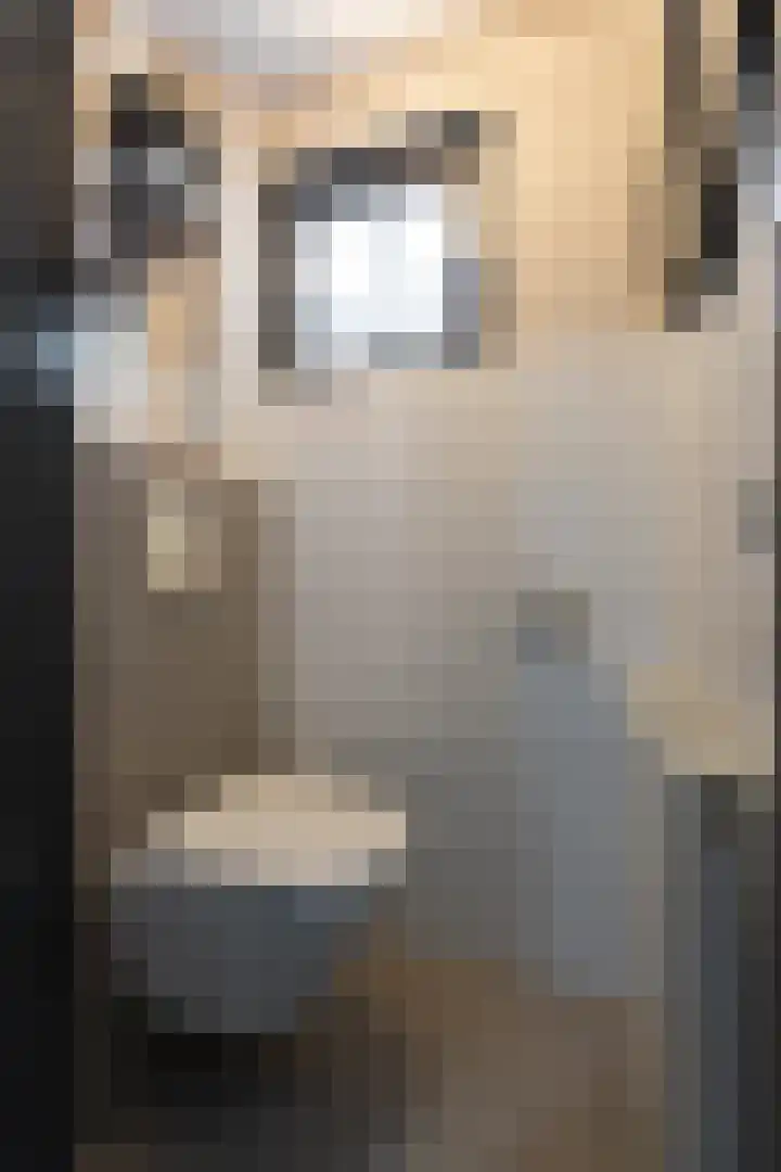 Dorpskant 4 Kilder thumbnail 16