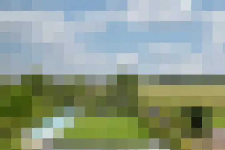 Dorpskant 4 Kilder thumbnail 65