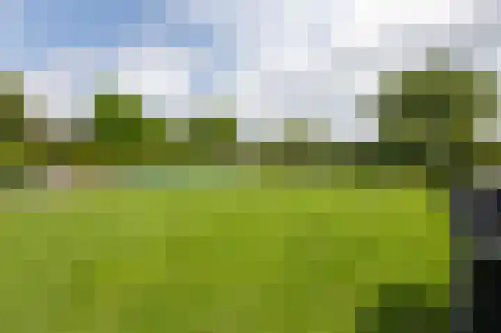 Dorpskant 4 Kilder thumbnail 85